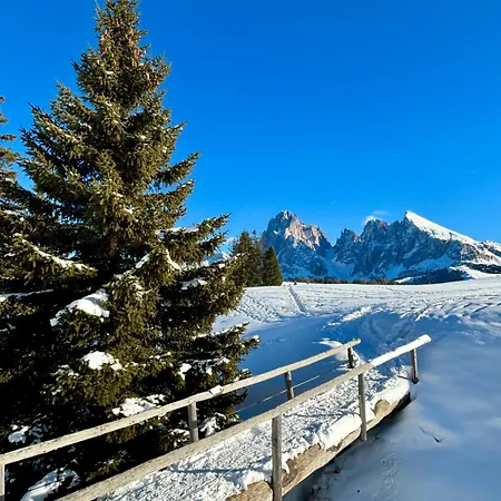 Praverd Nelle Dolomiti Apartment Santa Cristina Val Gardena